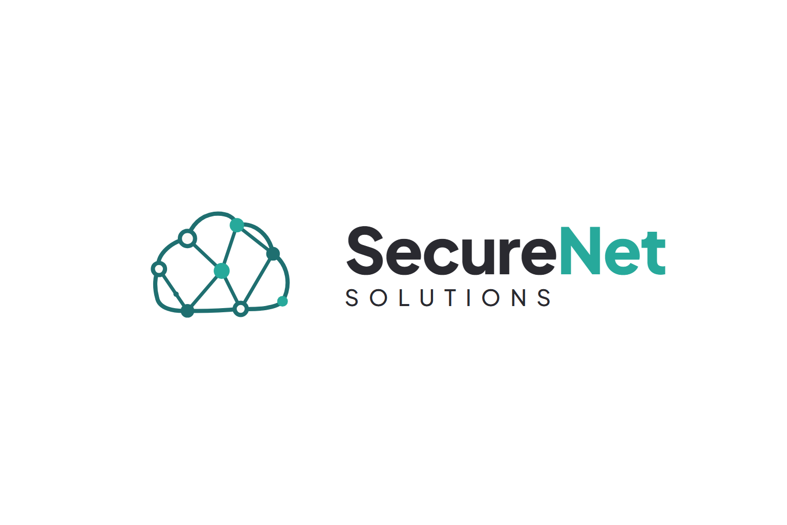 SecureNet Solutions | Websites and AI tools for small businesses